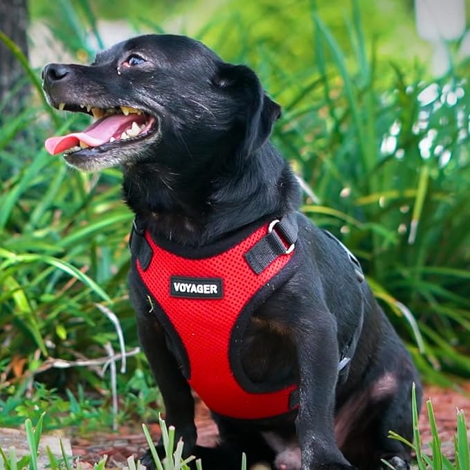 Voyager Step-in Lock Pet Harness - All Weather Mesh, Adjustable Step in Harness for Cats and Dogs by Best Pet Supplies - Red/Black Trim, XS