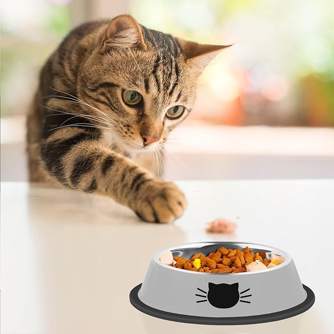 2Pcs Cat Bowls Non-Slip Stainless Steel Small Cat Food Bowls Unbreakable Thicken Cat Feeder 7 Oz Cat Dishes Suitable for Indoor Small Pets Removable Rubber Base Easily Clean Lovely Color