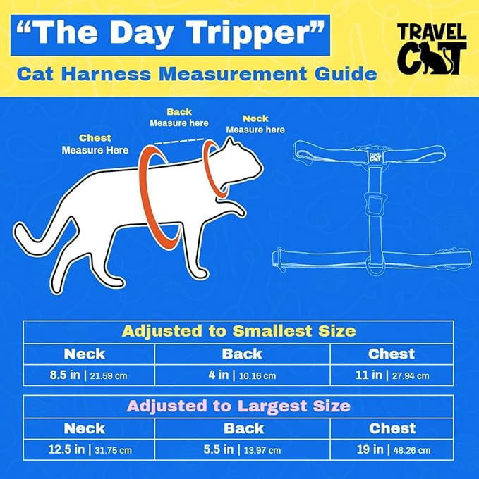 Travel Cat Harness and Bungee Leash Set - 2 in 1 Adjustable Escape Proof Cat Harness & Leash for Small, Medium, Large Cats, Kitten - Safe H-Style Cat Leash Harness for Outdoor Walking (Color Block)