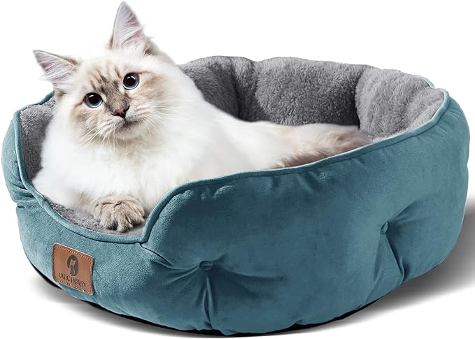 Asvin Medium Dog Bed for Medium Dogs, Cat Beds for Indoor Cats, Pet Bed for Puppy and Kitty, Extra Soft & Machine Washable with Anti-Slip & Water-Resistant Oxford Bottom, Teal, 25 inches
