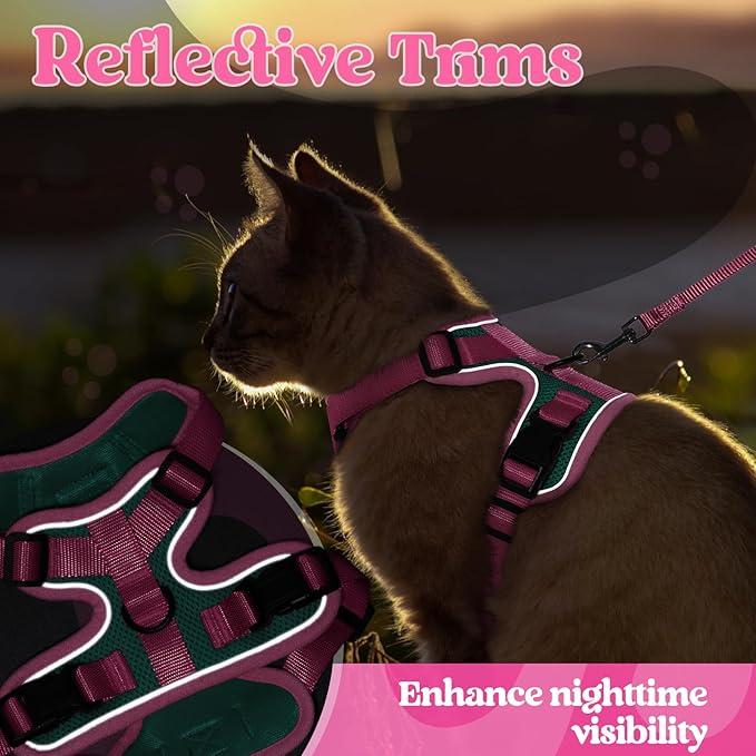 rabbitgoo Cat Harness and Leash Set, Escape Proof Soft Adjustable Vest Harnesses for Outdoor Walking, Easy Control Breathable Kitten Jacket with Reflective Strips, Green & Pink, XS