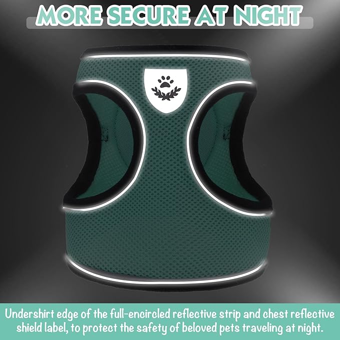 SCENEREAL Cat Harness and Leash Set Escape Proof, Adjustable Soft Air Mesh Cat Harnesses for Girls Boys, Reflective Light Cat Vest for Kitten Puppy Rabbit, Pet Vest Harnesses for Small Medium Big Cats