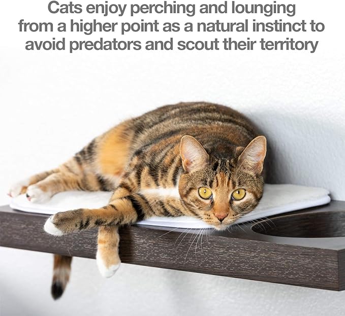 PetFusion Cat Activity Wall Shelves (Available as a 3-Piece Set or Individual Shelf.) Sisal Surfaces for Cat Scratching & Plush to Lounge, Neutral Design & Color Tones. Easy & Secure Wall Mount