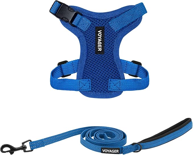 Voyager Step-in Lock Adjustable Cat Harness w. Cat Leash Combo Set with Neoprene Handle 5ft - Supports Small, Medium and Large Breed Cats by Best Pet Supplies - Royal Blue, XXXS