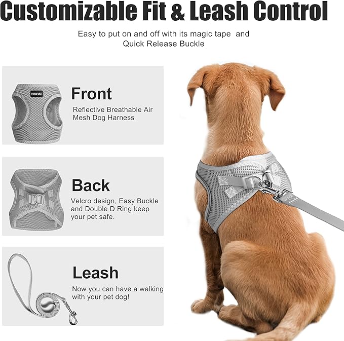 PetiFine Step in Small Dog Harness and Leash Set, Breathable All Weather Air Mesh Reflective Escape Proof, Step-in Vest Harnesses for Puppy(XS, Grey)