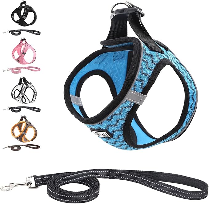 Soft Mesh Dog Harness and Leash Set, Step-in Reflective Breathable Comfort Padded Quick Dry Pet Puppy Vest Harness for Extra-Small/Small Medium Dogs and Cats (Blue, M)