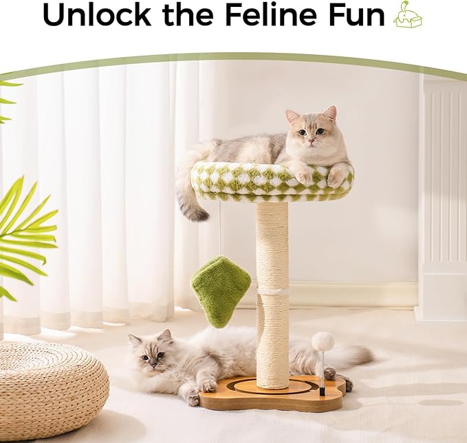 Mewoo Cat Scratching Post with Bed, Cat Tower with Cat Scratcher Post, Small Cat Tree for Indoor Cats, Sisal Cat Scratcher with Removable Cat Perch, Cat Ball Track and Kittens Toys (Green, Medium)