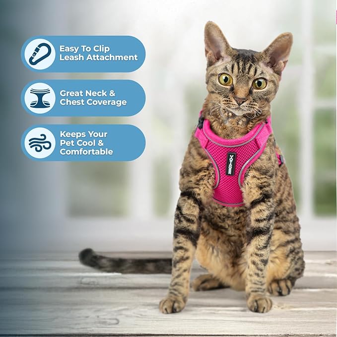 Voyager Escape Proof Cat Harness and Leash Set with Reflective Stitching, Neoprene Handle 5ft - Supports Small, Medium and Large Cats, Kittens for Walking by Best Pet Supplies - Fuchsia, XXXS