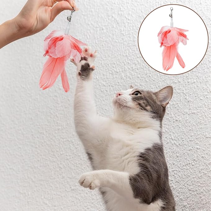 8 Pieces Cat Feather Toys Replacement Cat Toy Wand Refills Cat Toy Replacement Natural Bird Feathers for Cat Toys