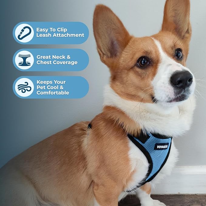 Voyager Step-in Lock Pet Harness - All Weather Mesh, Adjustable Step in Harness for Cats and Dogs by Best Pet Supplies - Baby Blue/Black Trim, L