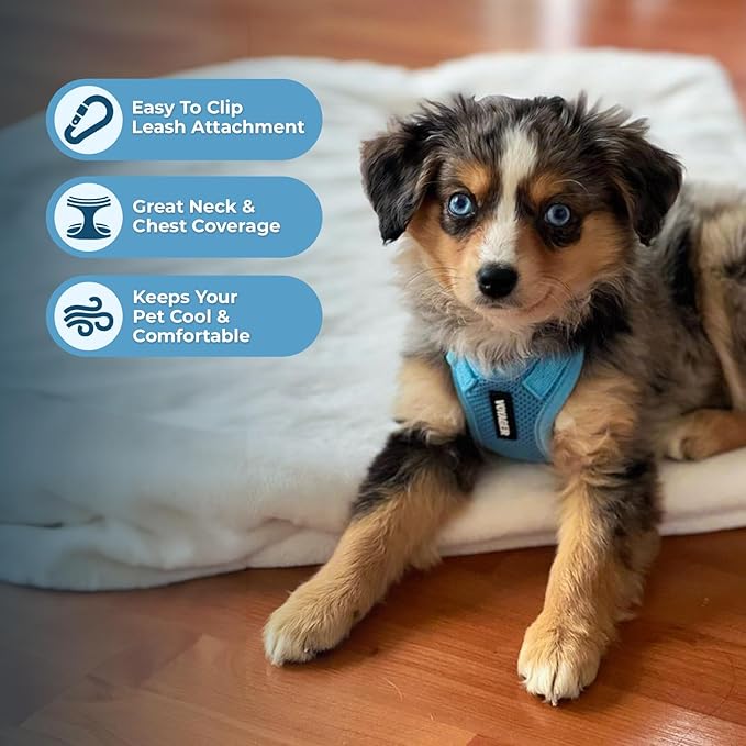 Voyager Step-in Lock Dog Harness w Reflective Dog Leash Combo Set with Neoprene Handle 5ft - Supports Small, Medium and Large Breed Puppies/Cats by Best Pet Supplies - Baby Blue, XS