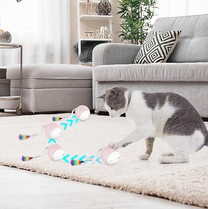 Auto Rolling Cat Ball Toy - Interactive Self Moving Automatic Cat Toy with Tail Feather Attachments - Slow & Fast Speed, LED Rainbow Lights, Sound & Touch Activated - USB-C Rechargeable