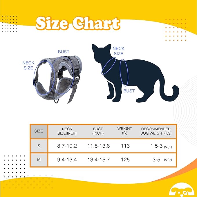 PetnBeyond Kitten Harness and Leash Set - Secure, Comfortable Control with Breathable Mesh Jacket - Adjustable Vest for Safe Walks with Reflective Strips - Kitty Escape Proof Kit (Small, Blue)