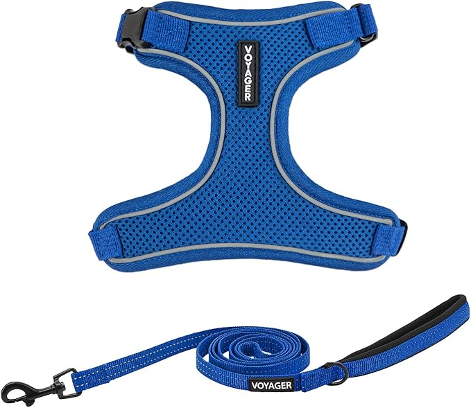 Voyager Escape Proof Cat Harness and Leash Set with Reflective Stitching, Neoprene Handle 5ft - Supports Small, Medium and Large Cats, Kittens for Walking by Best Pet Supplies - Royal Blue, XXXS