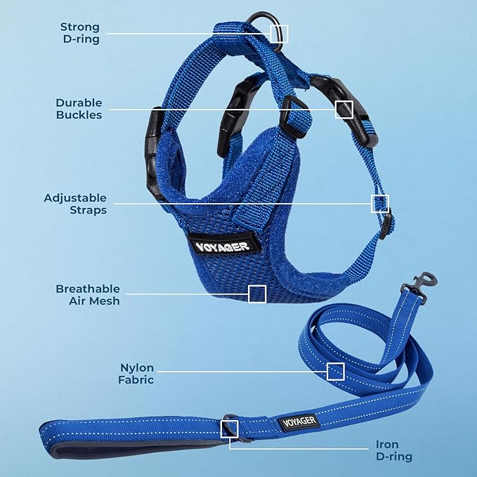 Voyager Step-in Lock Dog Harness w Reflective Dog Leash Combo Set with Neoprene Handle 5ft - Supports Small, Medium and Large Breed Puppies/Cats by Best Pet Supplies - Royal Blue, S