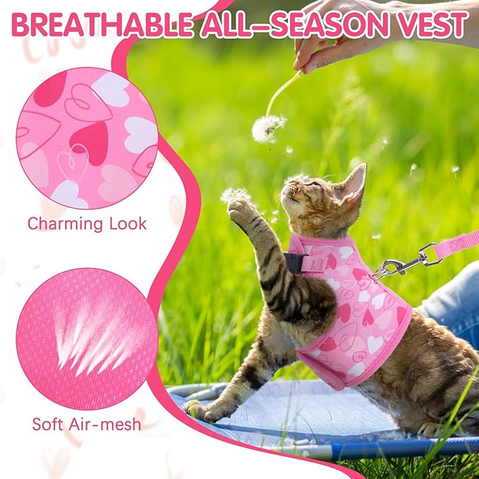 BINGPET Cat Harness and Leash Set Escape Proof for Walking,Step-in Harness with Lightweight Soft Breathable Mesh,Adjustable Easy Control Harness for Kitten Puppy Small Medium Large Cats(Heart,L)