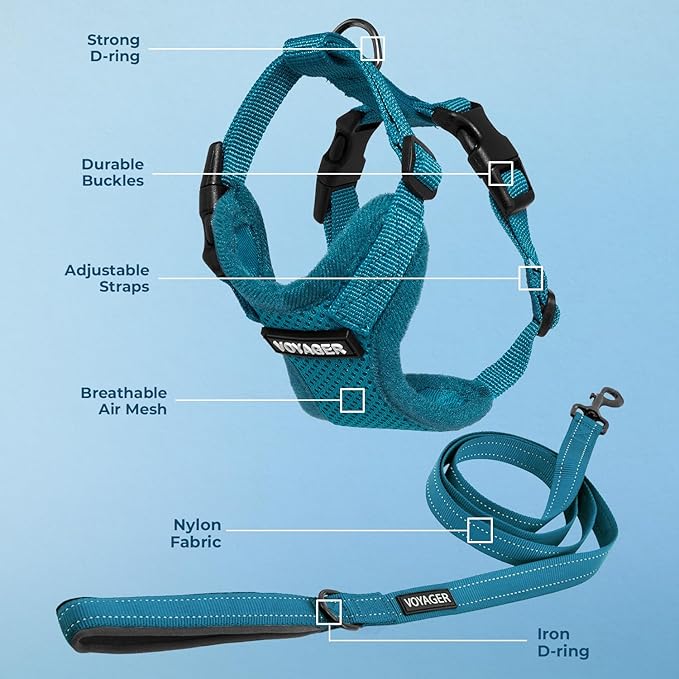 Voyager Step-in Lock Dog Harness w Reflective Dog Leash Combo Set with Neoprene Handle 5ft - Supports Small, Medium and Large Breed Puppies/Cats by Best Pet Supplies - Turquoise, XL
