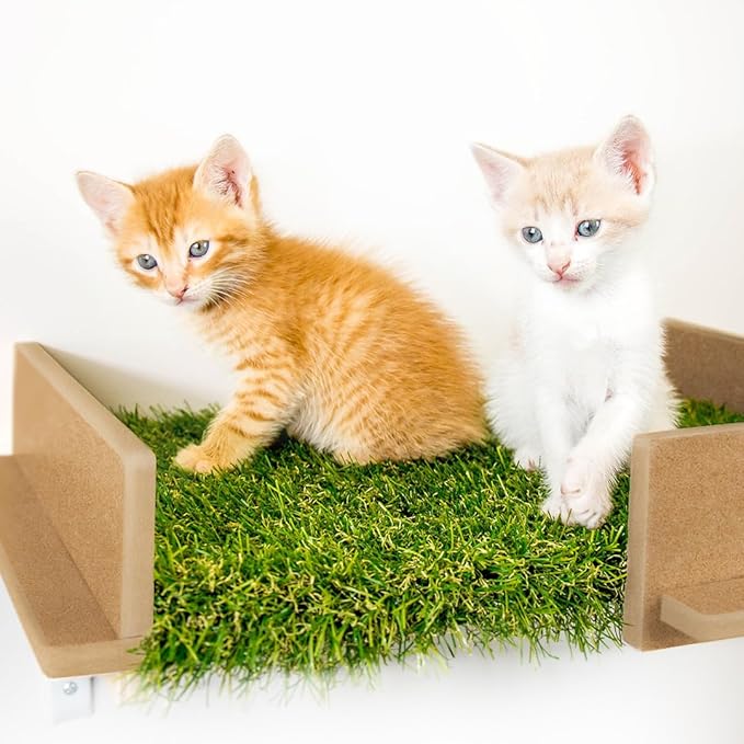 On2 Pets Cat Shelves Wall-Mounted Cat Trees Cat Furniture for Climbing, Playing and Relaxing, Set of 2, Indoor Cat Shelf Made in USA… (Zen Green, Box)