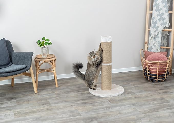 TRIXIE Rue Cat Scratching Post 31.5 Inch - Cat Scratcher with Soft Fabric Covering Base and Durable Sisal Rope - for Large Cats - in Beige
