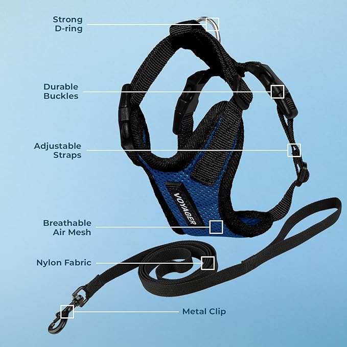 Voyager Step-in Lock Adjustable Cat Harness w. Cat Leash Combo Set with Neoprene Handle 5ft - Supports Small, Medium and Large Breed Cats by Best Pet Supplies - Royal Blue/Black Trim, XS