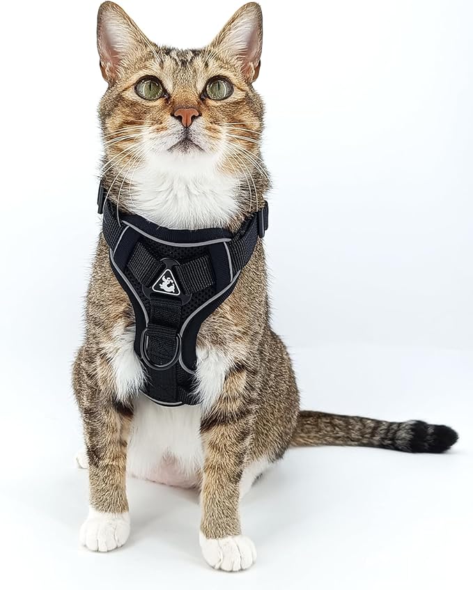 Cat Harness and Leash Set Escape Proof Tactical Medium Kitten Harness Emotional Support Cat Vest, Black, M