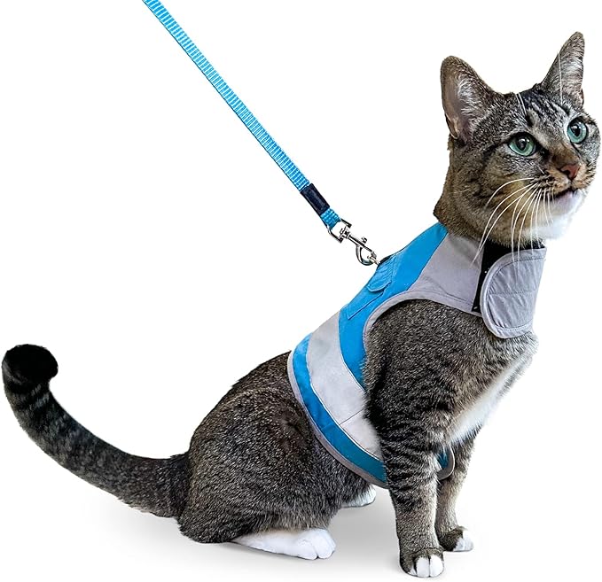 CAT SCHOOL Cat Harness and Leash Set for Outdoor Walks, Training, and Travel - Secure, Soft, Comfortable Cat Vest Harness with 10' Long Cat Leash - Easy to Use with Step-by-Step Instructions M/L