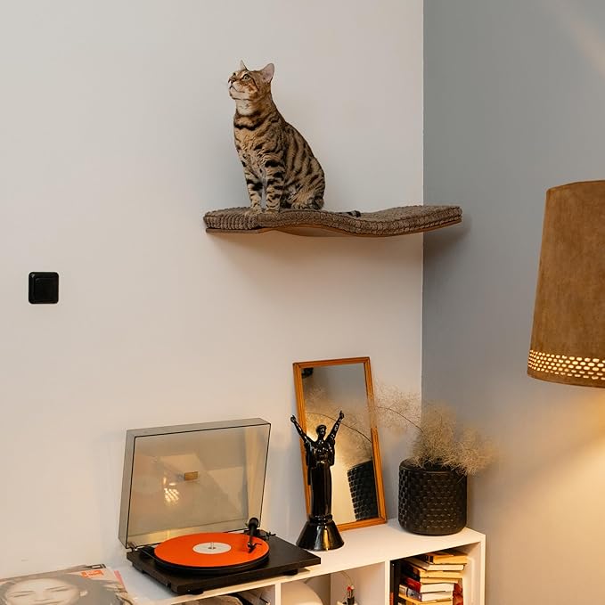 Cat Wall Furniture, Wall Mounted Cat Shelf, Cat Window Perch, Cat Shelves, Cat Wall Bed, Cat Steps for Wall, Cat Playground, Cat Wall Set Brown Cat Waved Shelf Cat Step