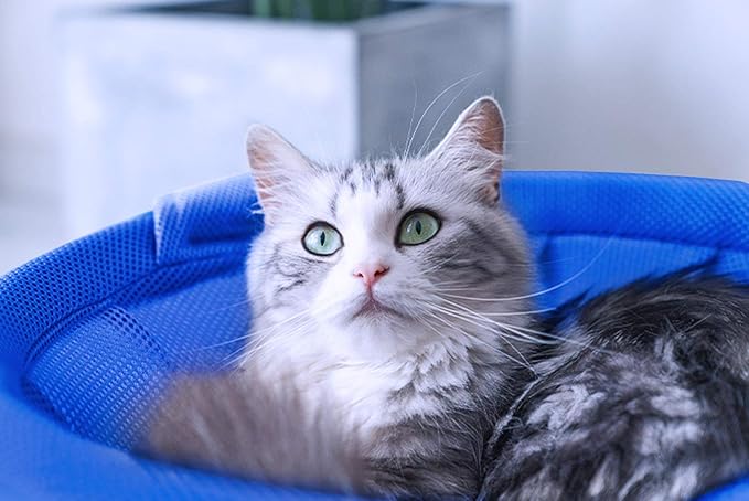 MW Cat Hammock Bed Free-Standing for Small Large Cats Washable (Blue)