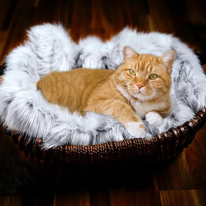 Fluffy Pet Dog Cat Bed Mat Rug, Washable Super Soft Plush Faux Fur Warm Area Mat Pad for Indoor Pet Cat Dog Small Sleep Cushion
