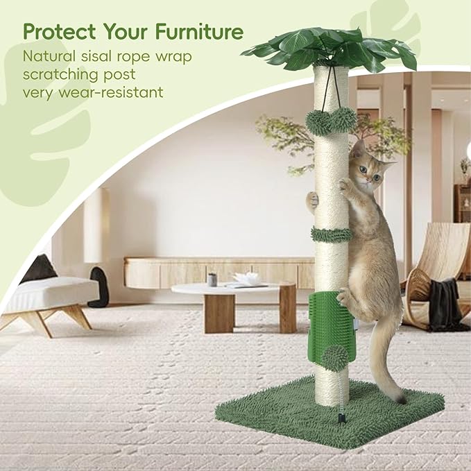 MECOOL Cat Scartching Post，30-inch Cute Scartching Posts for Indoor Cats and Kittens,Natural Sisal Rope and Hanging Ball Toy, Self-Grooming Brush,Green
