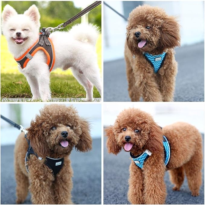 Soft Mesh Dog Harness and Leash Set, Step-in Reflective Breathable Comfort Padded Quick Dry Pet Puppy Vest Harness for Extra-Small/Small Medium Dogs and Cats (Black, L)