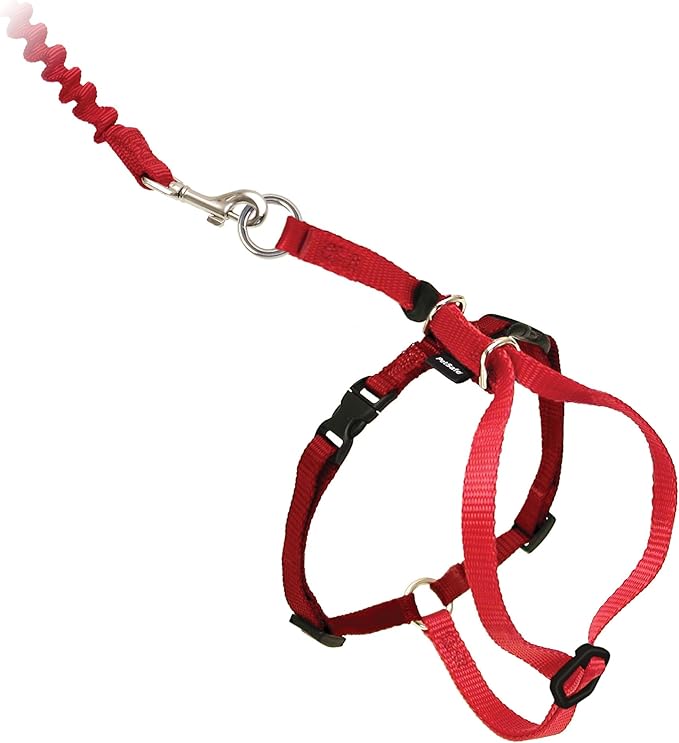 PetSafe Come with Me Kitty Harness and Bungee Leash, Small, Red