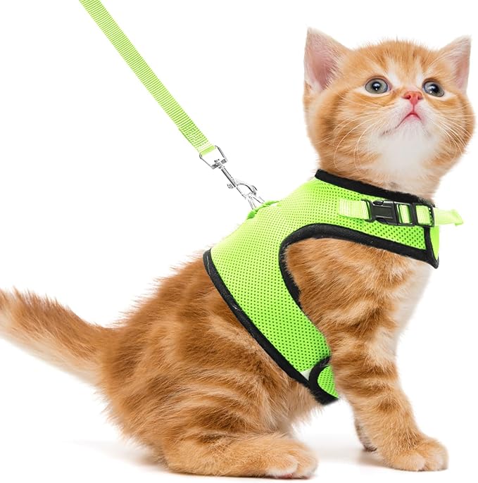 PUPTECK Soft Mesh Cat Vest Harness and Leash Set Puppy Padded Pet Harnesses Escape Proof for Cats Small Dogs Rabbits Bunny, Fluorescent Green S