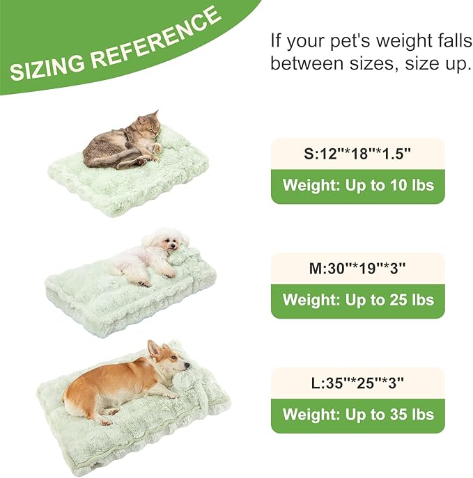 Jiupety Cat Beds for Indoor Cats Calming Pet Beds, Mattress with Pillow for Crate, Anti-Slip Comfy Pet Sleeping Mat. for Cat and Puppies Up to 10 Lbs, S(12"*18"*1.5"), Green.