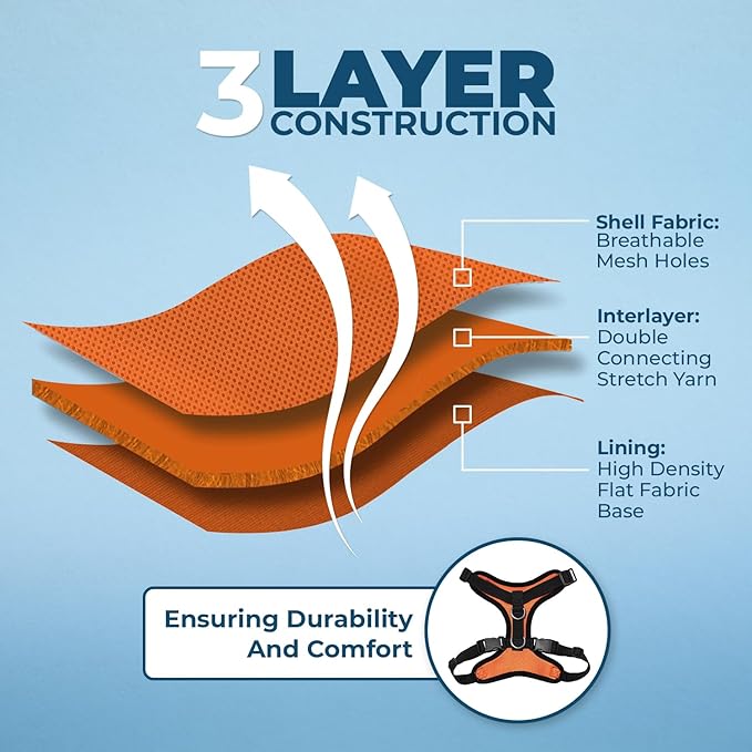 Voyager Step-in Lock Adjustable Cat Harness w. Cat Leash Combo Set with Neoprene Handle 5ft - Supports Small, Medium and Large Breed Cats by Best Pet Supplies - Orange/Black Trim, XXS