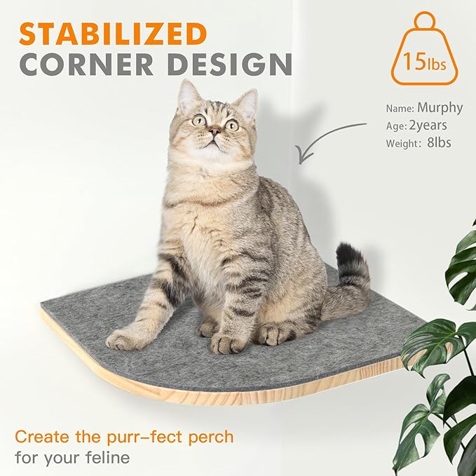 Mora Pets Cat Wall Shelves Cat Hammock with 3 Steps