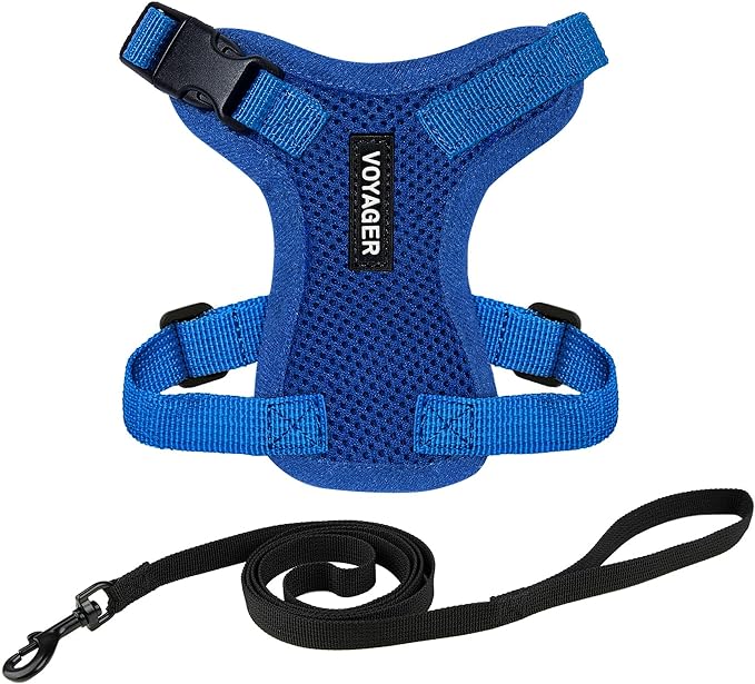Voyager Step-in Lock Adjustable Cat Harness w. Cat Leash Combo Set with Neoprene Handle 5ft - Supports Small, Medium and Large Breed Cats by Best Pet Supplies - Royal Blue, XXXS