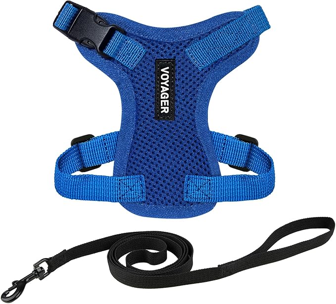 Voyager Step-in Lock Adjustable Cat Harness w. Cat Leash Combo Set with Neoprene Handle 5ft - Supports Small, Medium and Large Breed Cats by Best Pet Supplies - Royal Blue, XS