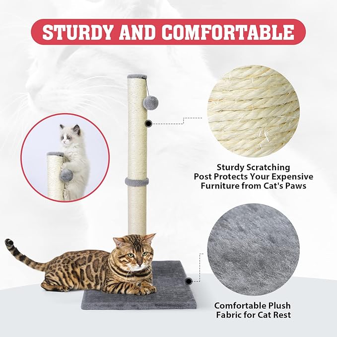 petellow 31'' Tall Cat Scratching Post - Cat Claw Scratcher with Hanging Ball - Scratching Posts for Indoor Large Cats - Durable Stable Cat Furniture with Sisal Rope - Cat Scratch Post-Grey