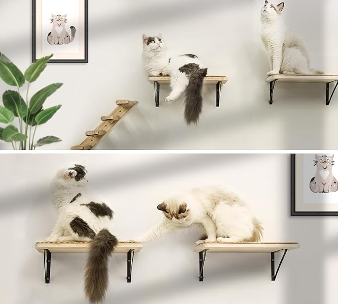 2PCS Cat Wall Shelves with Cat Scratching Mat, 16.6x9.7 Inch Large Cat Wall Hammock Cat Wall Furniture Cat Shelf Cat Window Perch Wall Mounted Beds for Sleeping, Playing, Climbing, Support to 30 LBS