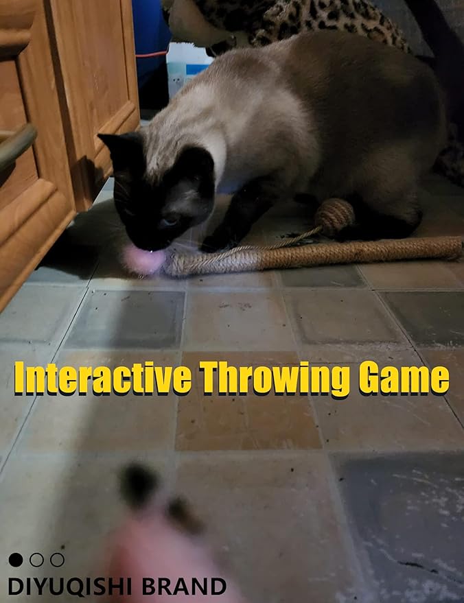 Assorted Cat Toys for Indoor Cats & Kittens - 26-Piece Set with 6 Bell Balls & 20 Reflective Balls for Safe Active Play & Mental Stimulation