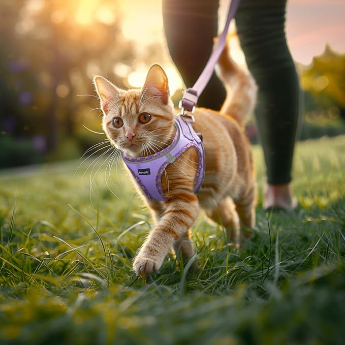 Rttochfy Cat Harness and Leash Set, Escape Proof Kitten Harness, Soft and Breathable Vest with Reflective Strip, Easy to Wear for Cats Walking and Traveling (Blue, L)