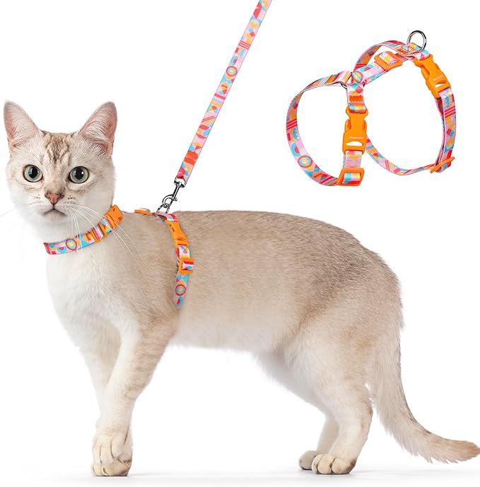 Dooradar Cat Harness and Leash, Escape Proof Adjustable Kitten Vest, Lightweight Soft Pet Straps, Easy Wearing for Small Medium Kitty Safe Walking Travel Control, Rainbow, M