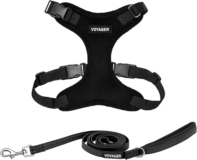 Voyager Step-in Lock Dog Harness w Reflective Dog Leash Combo Set with Neoprene Handle 5ft - Supports Small, Medium and Large Breed Puppies/Cats by Best Pet Supplies - Black, XS