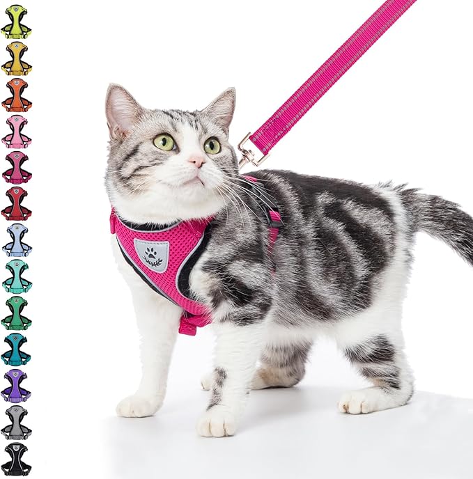 PUPTECK Cat Harness and Leash Set Escape Proof Reflective Cat Walking Harness Adjustable Soft Breathable Mesh Vest for Small Pets, Deep Pink, M