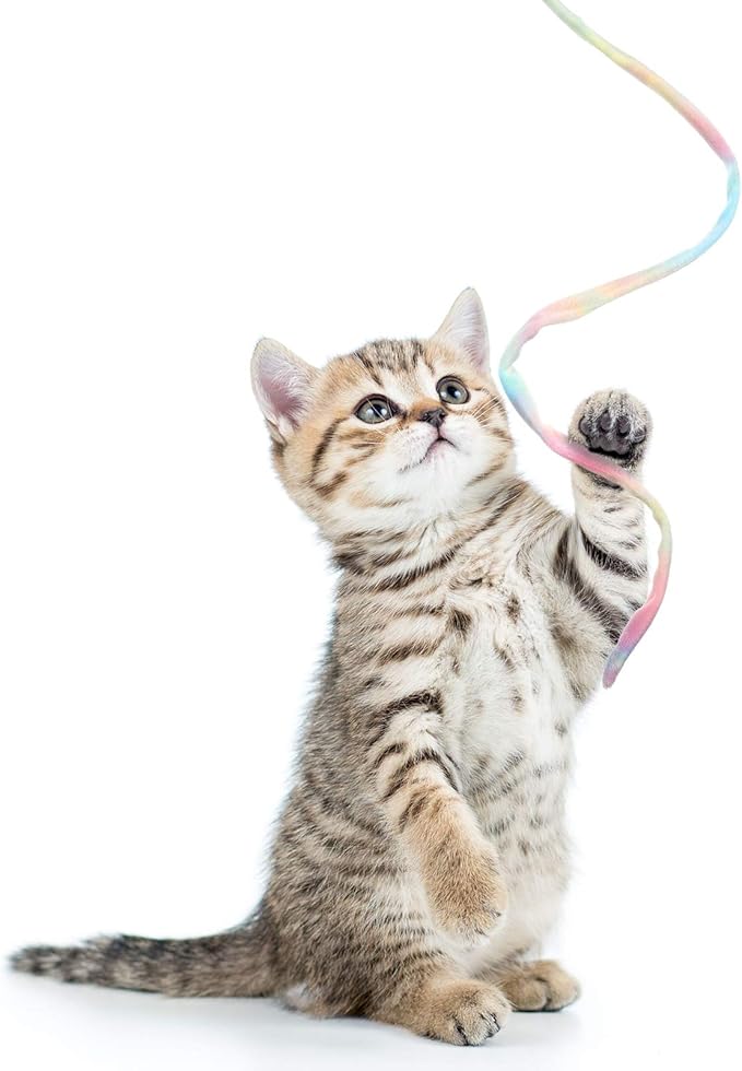 3 Pieces Jungle Cat Wand Cat Teaser Charmer Interactive Cat Toys Wand Fun Cat Kitten Kitty Playing Toy, 3 Styles (Charming Color)