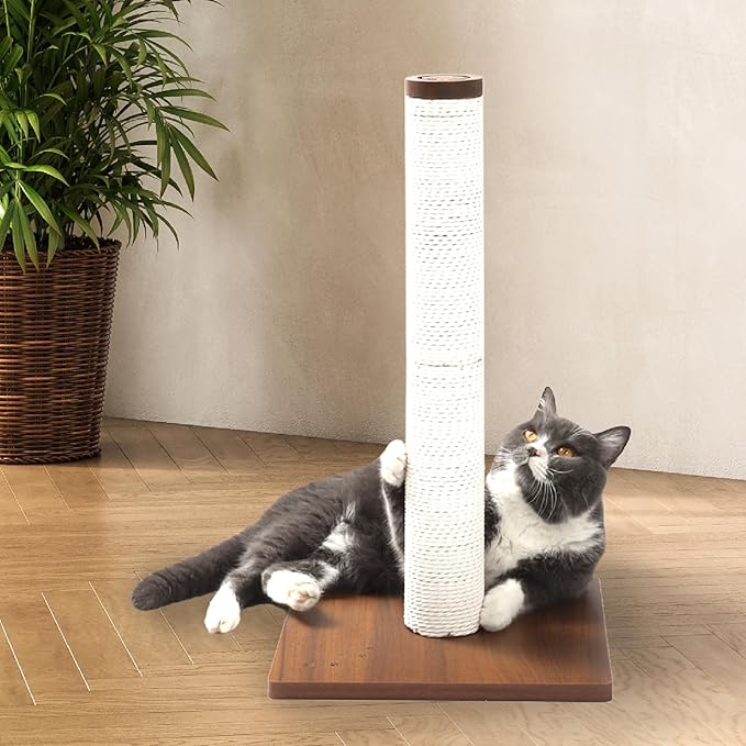 Necoichi 23.6” Tall Cat Scratching Post Kitten Scratcher Paper Rope Scratch Posts Trees with Hanging for Indoor Cats (23.6 inches for Kitty, Regular, Dark Cherry)