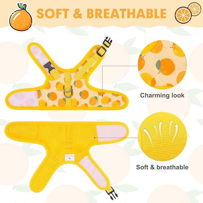 BINGPET Cat Harness with Leash Escape Proof - Fashionable Mesh Cat Dog Walking Harness Leads, Adjustable for Kitties Puppies Small Animals,Orange,M