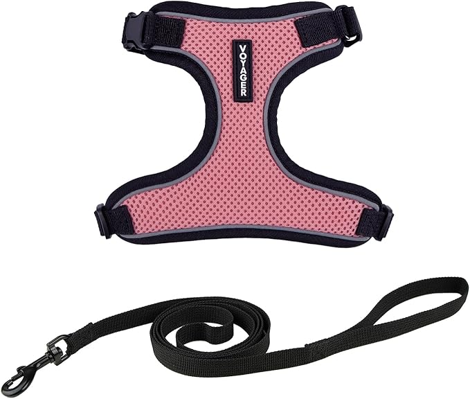 Voyager Escape Proof Cat Harness and Leash Set with Reflective Stitching, Neoprene Handle 5ft - Supports Small, Medium and Large Cats, Kittens for Walking by Best Pet Supplies - Black Trim-Pink, XS