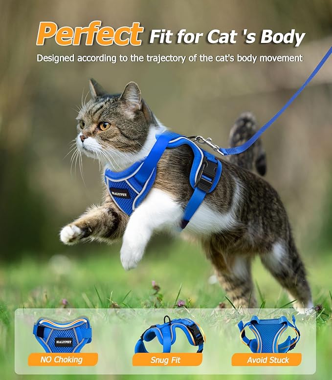 Halypet Cat Harness and Leash Set [MAX Safety 4th-Gen Upgrade] Escape Proof Adjustable Cat Leash Comfortable Soft Vest Easy to Wear Kitten Harness with Reflective Strip for Cats Walking, M Blue